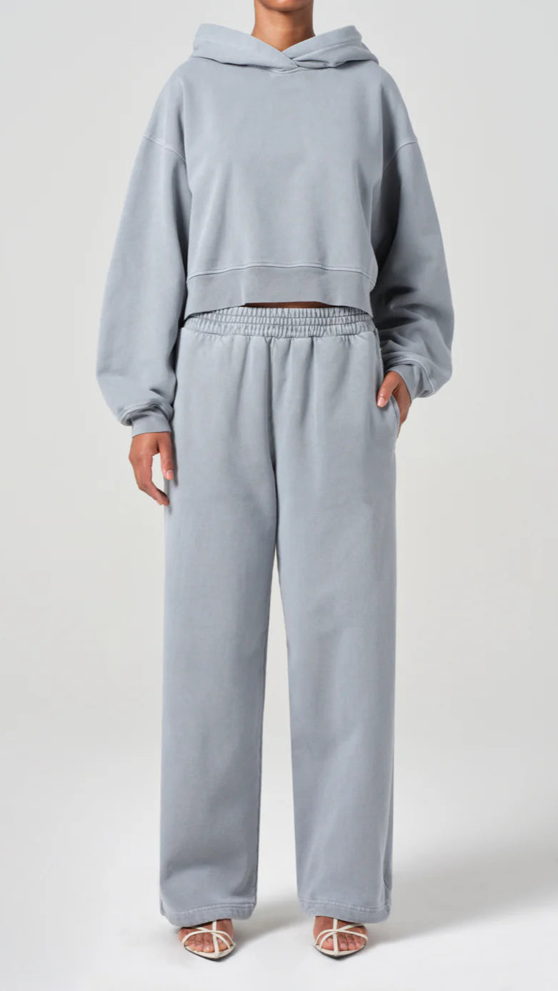 AGOLDE Denim Elliot Sweatpants in Mineral