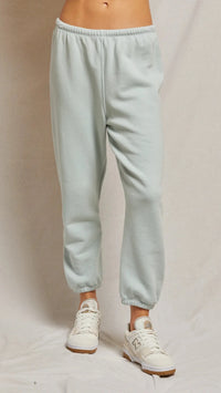 Perfect White Tee Stevie Sweatpants in Fresh Mint