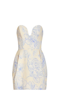 Amanda Uprichard Rosiella Mini Dress in Somerset Print